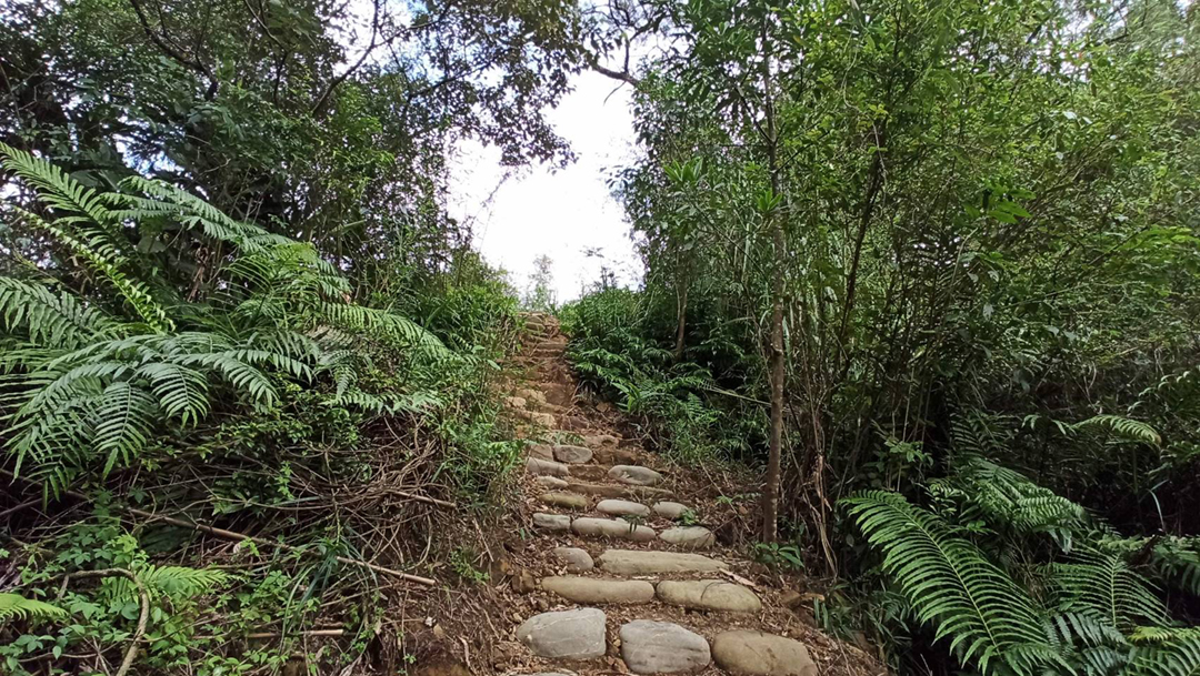 4-2-3 漫步生態步道